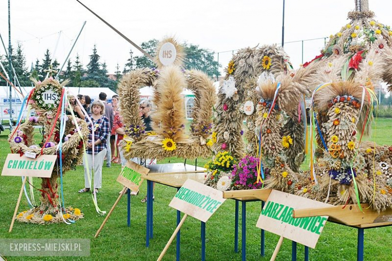 Gminne dożynki w Kostomłotach