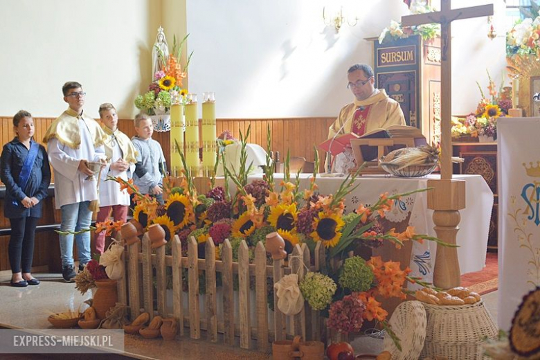 Dożynki w Rakoszycach