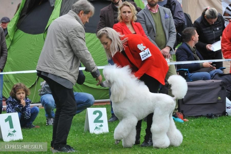 XXV Międzynarodowa Wystawa Psów Rasowych