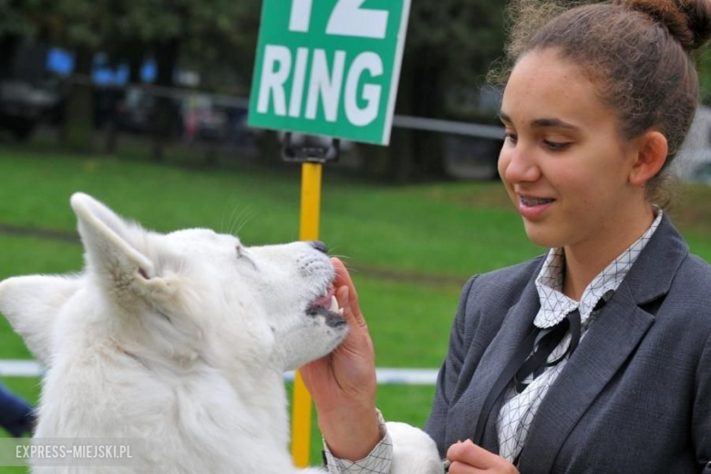 XXV Międzynarodowa Wystawa Psów Rasowych