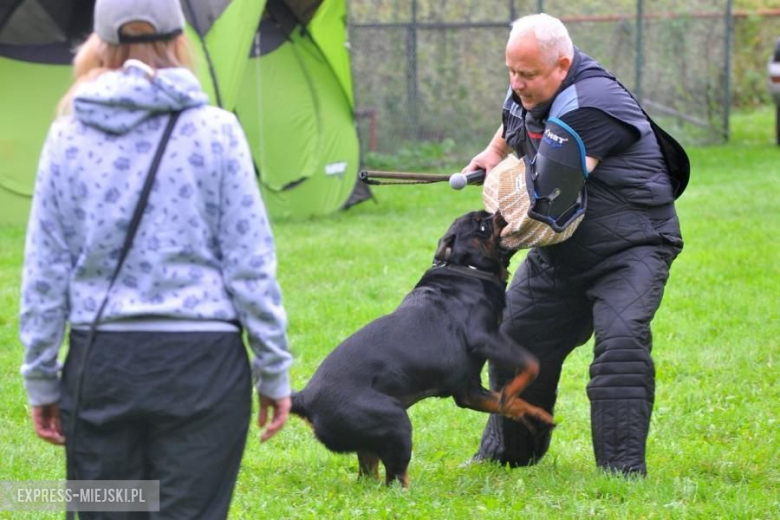 XXV Międzynarodowa Wystawa Psów Rasowych