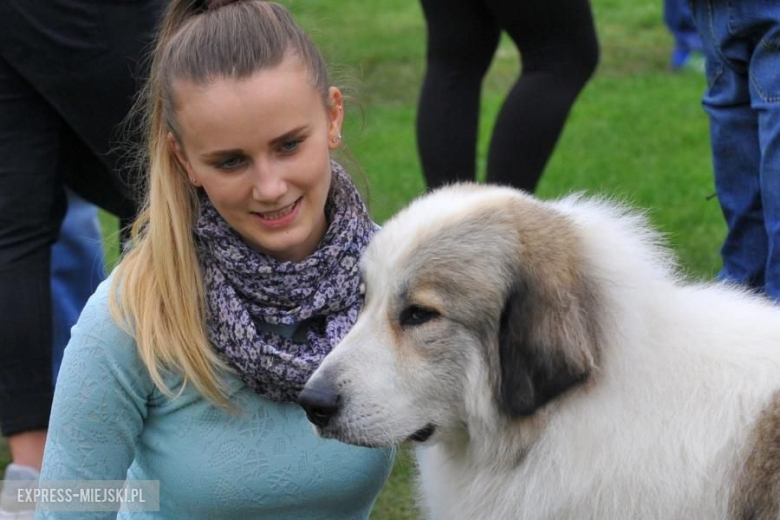 XXV Międzynarodowa Wystawa Psów Rasowych