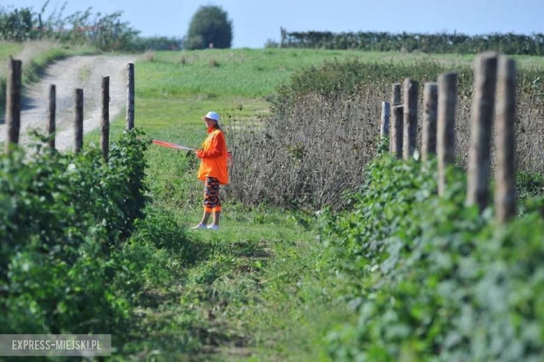 Rajd Nadwiślański 2017