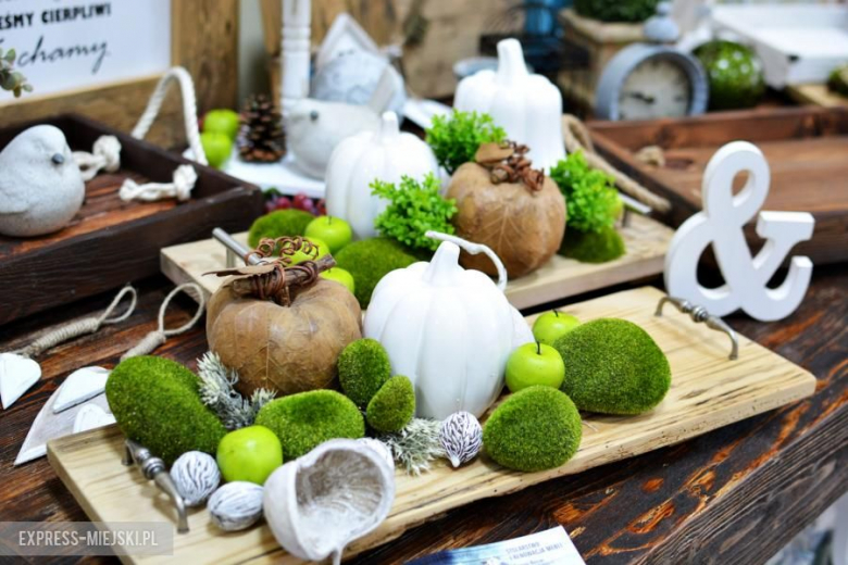 Wizyta w Rakoszycach