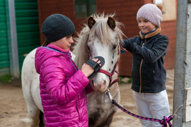 Zawody jeździeckie w Gałowie