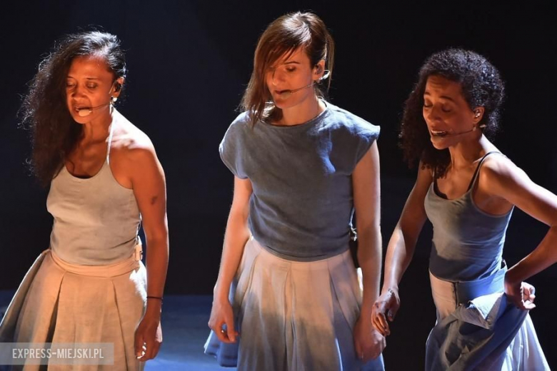 Koncert Camille w ramach 39. PPA