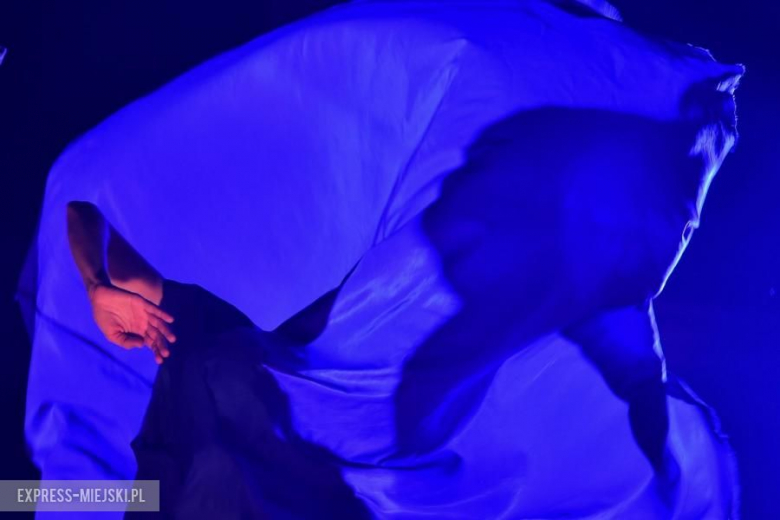 Koncert Camille w ramach 39. PPA