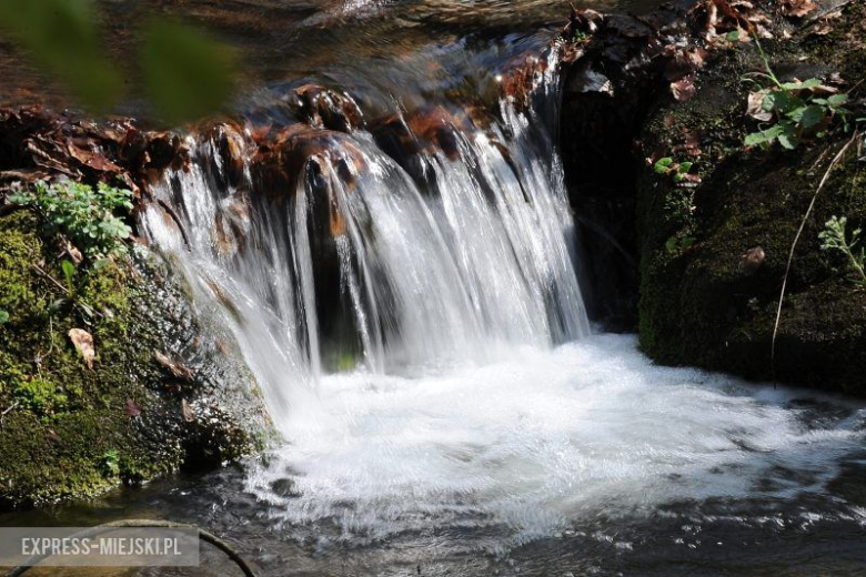 46. Rajd Świdnicki KRAUSE