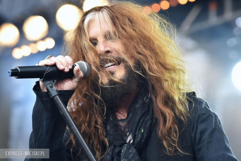 Koncert grupy The Dead Daisies