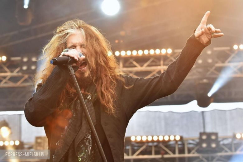 Koncert grupy The Dead Daisies