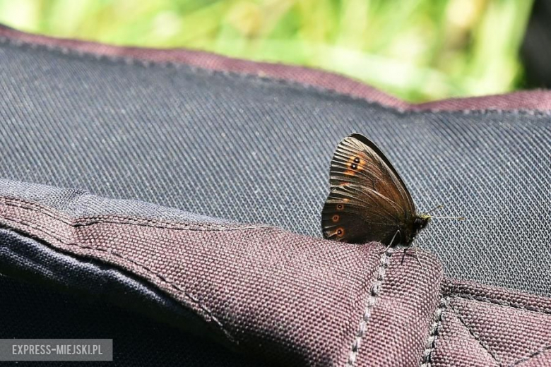 52. Rajd Dolnośląski