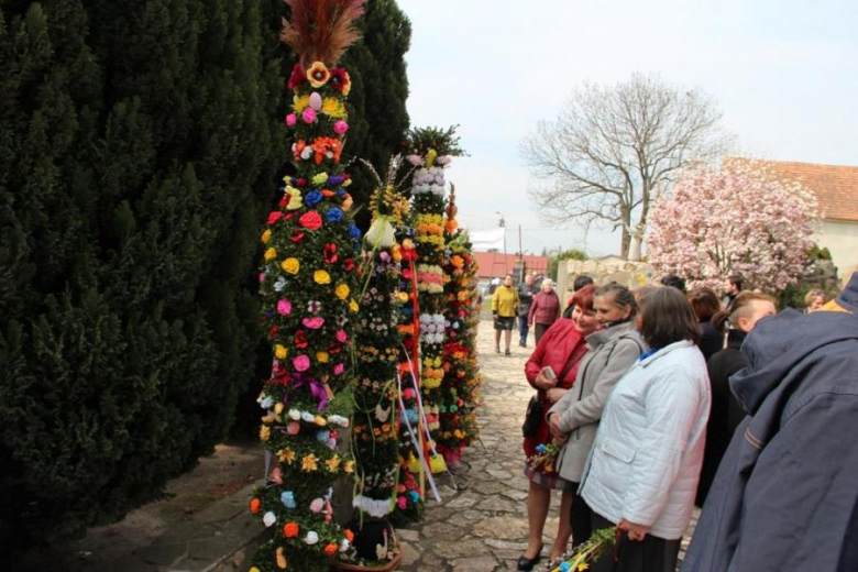 Niedziela Palmowa w Piotrowicach