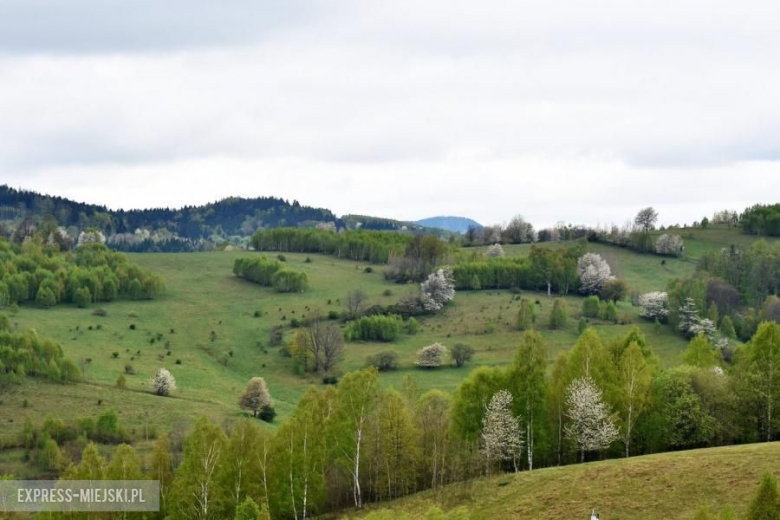47. Rajd Świdnicki-Krause