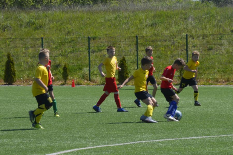 Memoriał Janusza Borowego