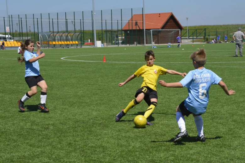 Memoriał Janusza Borowego