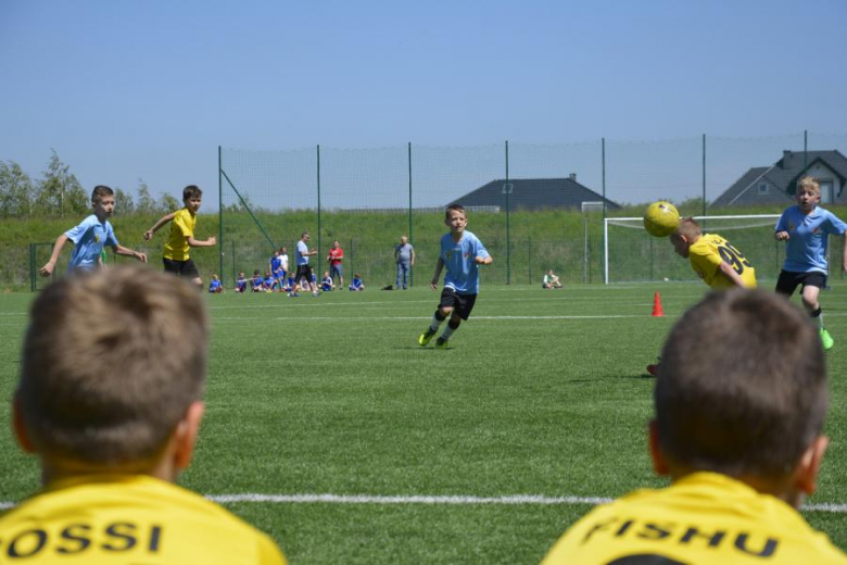 Memoriał Janusza Borowego