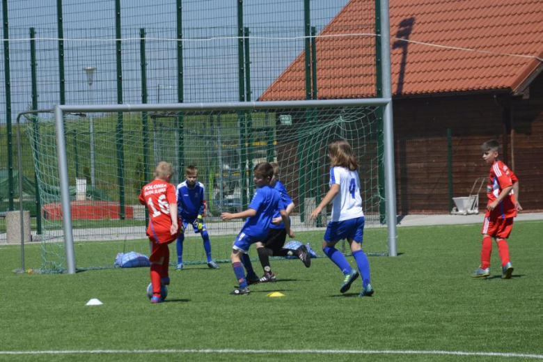 Memoriał Janusza Borowego