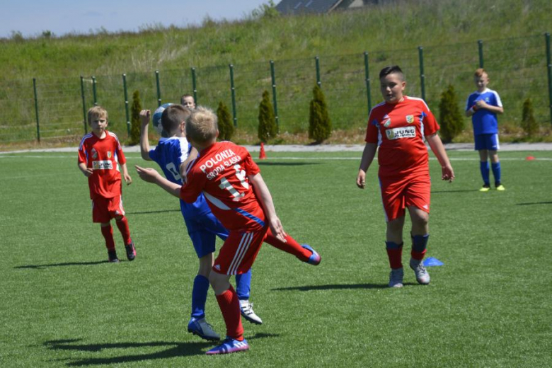 Memoriał Janusza Borowego