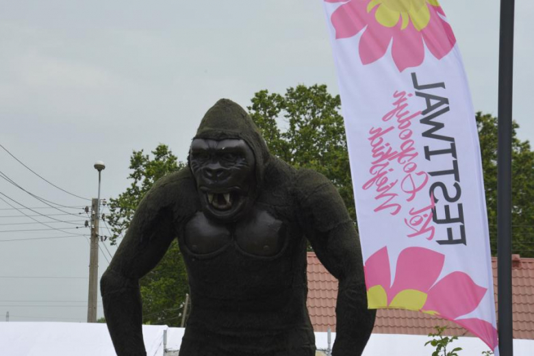 Festiwal Kół Gospodyń Wiejskich w Mazurowicach