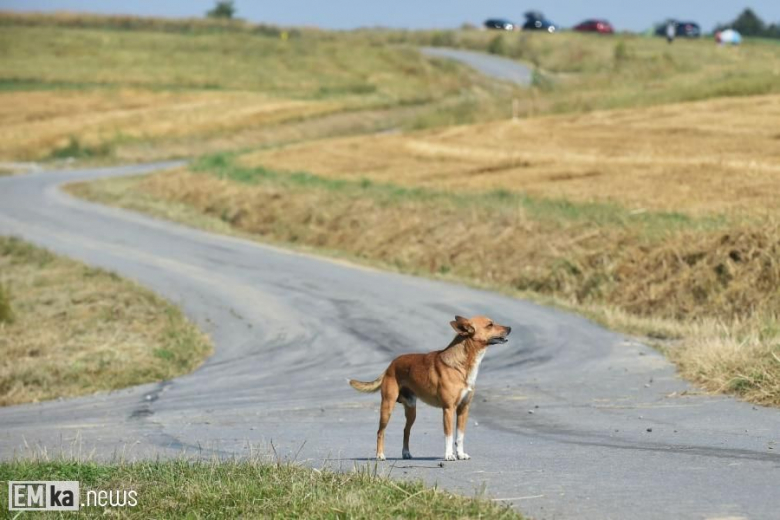 MARMA 29. Rajd Rzeszowski