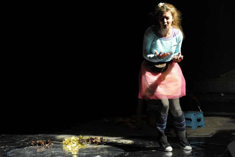 PPA 2012 - spektaklu Off - Safari zebra