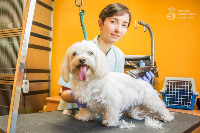 Kobiety Ziemi Średzkiej - uczestniczki