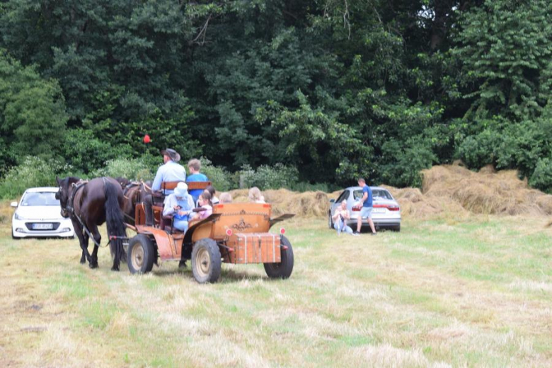 Piknik rodzinny na boisku w Piersnie