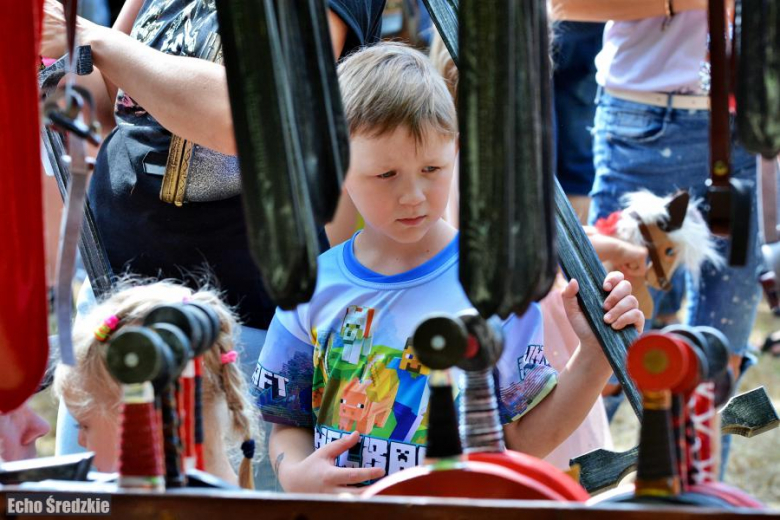 V Turniej Rycerski w Zamku na Wodzie w Wojnowicach