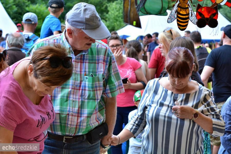 V Turniej Rycerski w Zamku na Wodzie w Wojnowicach