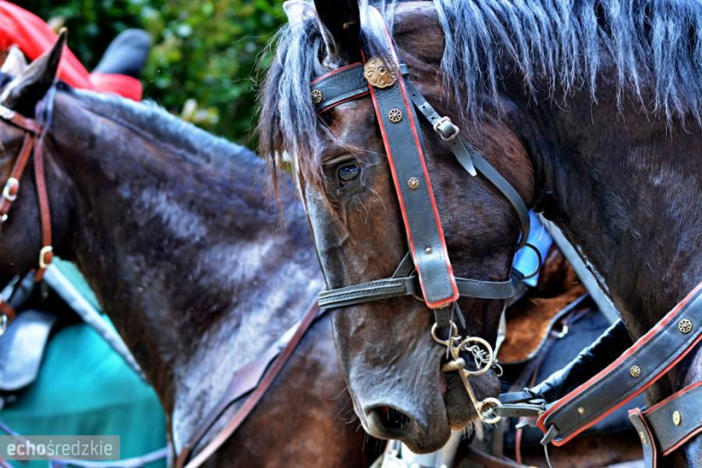 V Turniej Rycerski w Zamku na Wodzie w Wojnowicach
