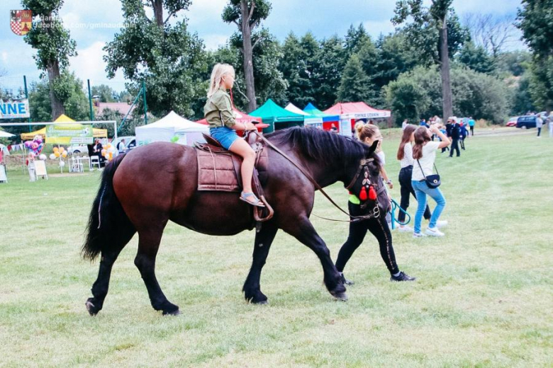Święto plonów w Ujeździe Górnym