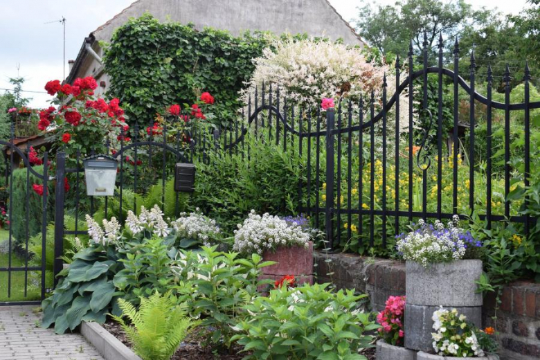 Mieczków w obiektywie - zwycięzca konkursu "Najpiękniejsza wieś w Gminie Kostomłoty"- miejsce I