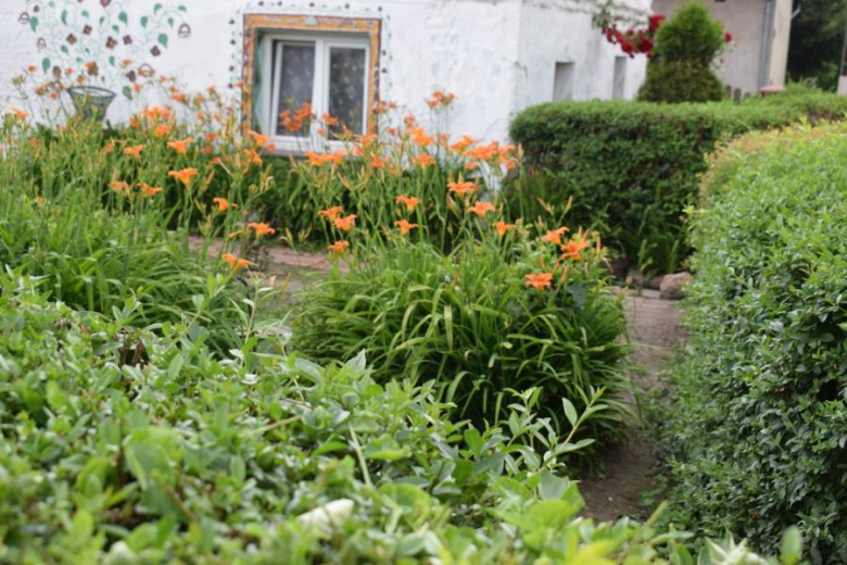 Wichrów w obiektywie - zwycięzca konkursu "Najpiękniejsza wieś w Gminie Kostomłoty"- miejsce I