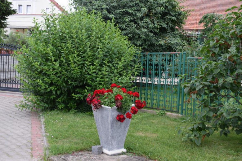 Wichrów w obiektywie - zwycięzca konkursu "Najpiękniejsza wieś w Gminie Kostomłoty"- miejsce I