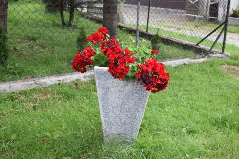 Wichrów w obiektywie - zwycięzca konkursu "Najpiękniejsza wieś w Gminie Kostomłoty"- miejsce I