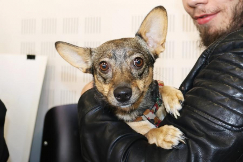 Charytatywny rajd i zlot Ratujmy Klasyki