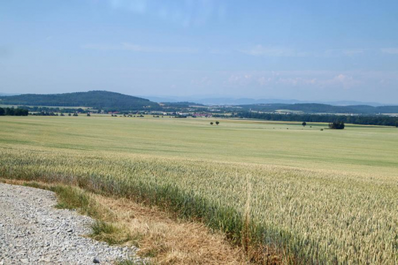 Letni Piknik Rowerowy