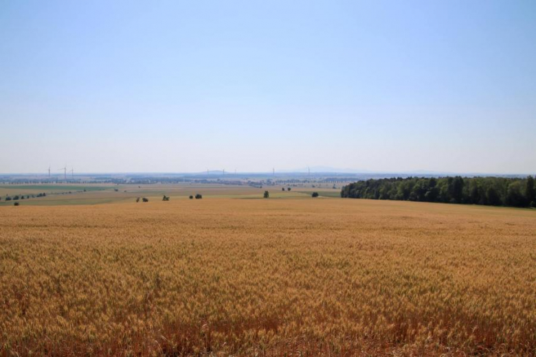 Letni Piknik Rowerowy