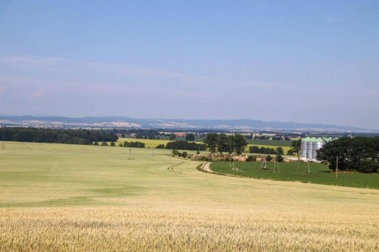 Letni Piknik Rowerowy