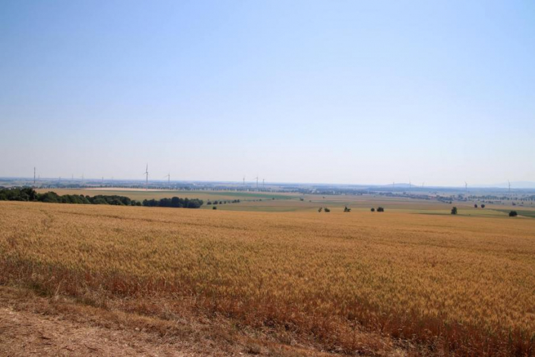 Letni Piknik Rowerowy