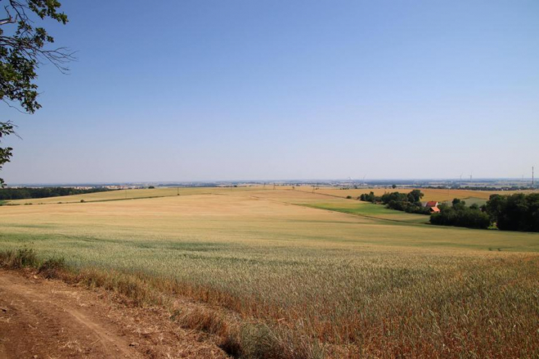 Letni Piknik Rowerowy