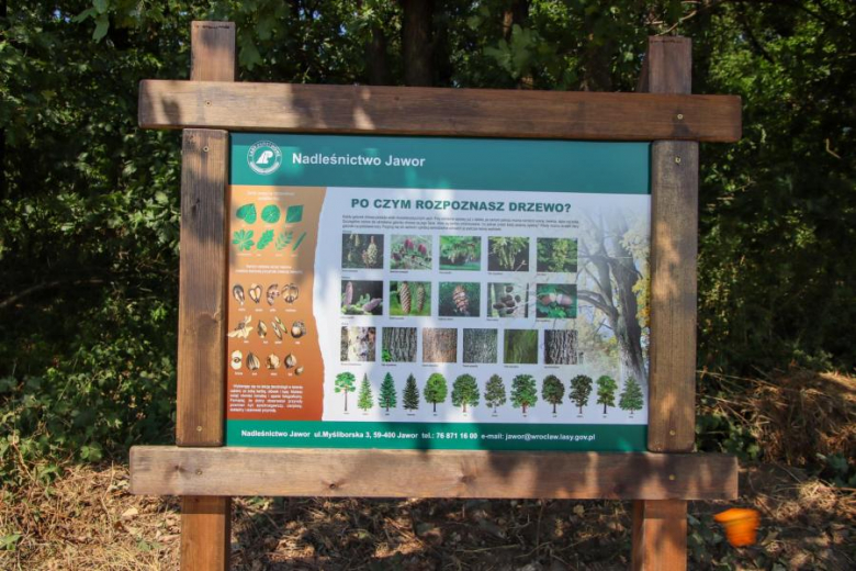 Letni Piknik Rowerowy