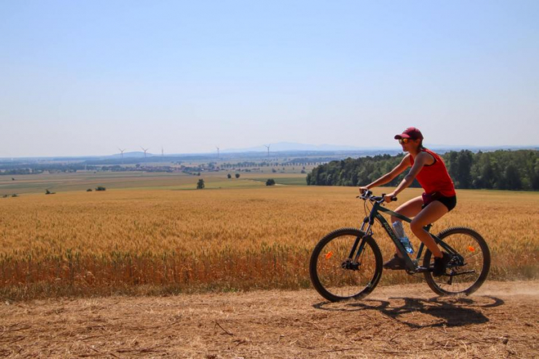 Letni Piknik Rowerowy