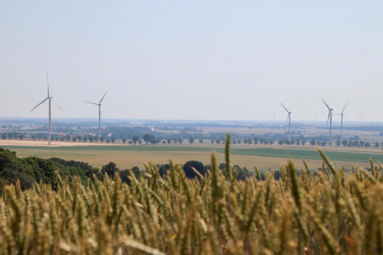 Letni Piknik Rowerowy