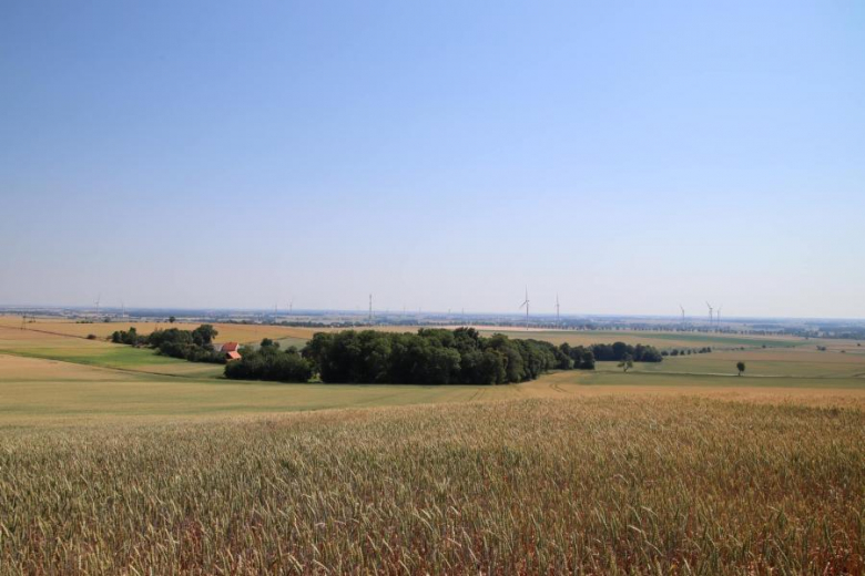 Letni Piknik Rowerowy