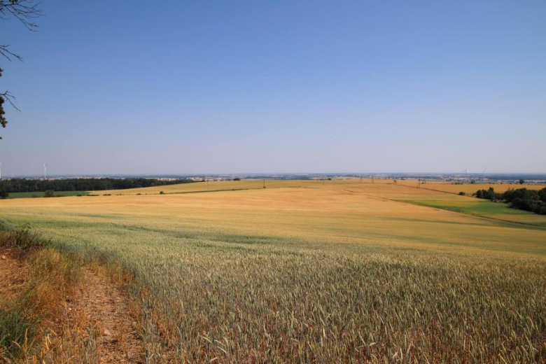 Letni Piknik Rowerowy