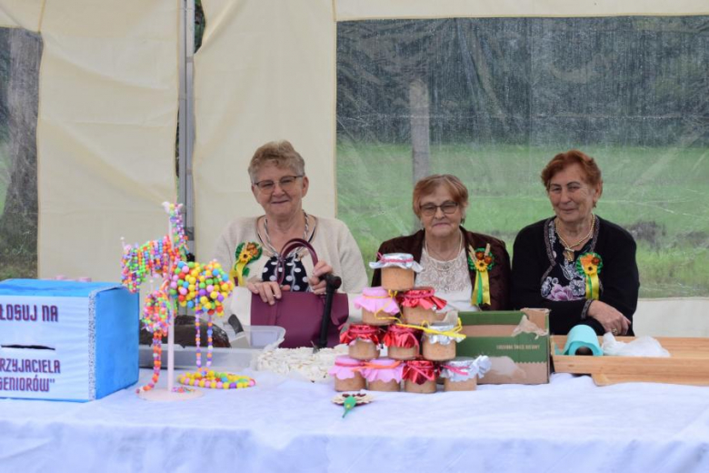 Dożynki Gminne w Piersnie