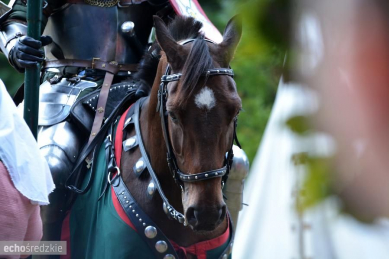 Turniej rycerski w Wojnowicach