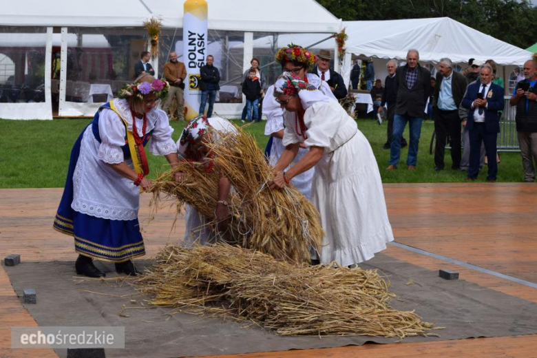 Dożynki Wojewódzkie w Udaninie
