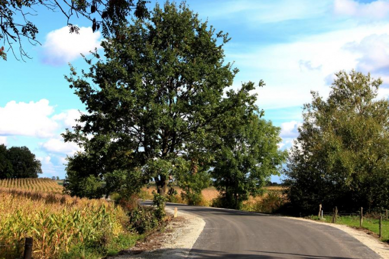 Odebrano I etap przebudowy drogi gminnej relacji Piotrowice – Paździorno